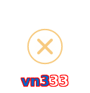 vn333