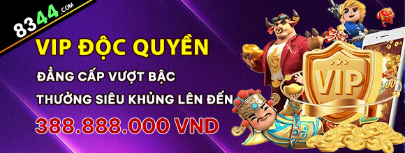 vn333ss