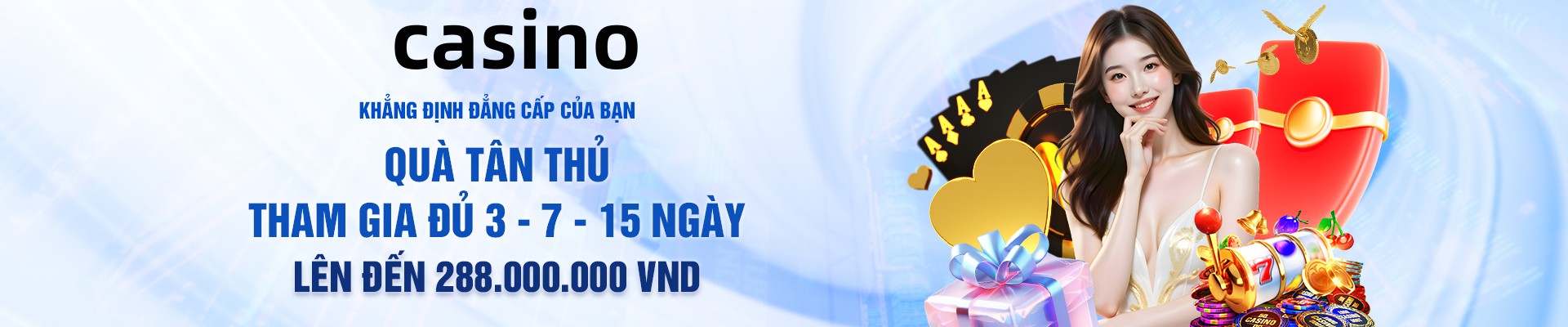 vn333ss