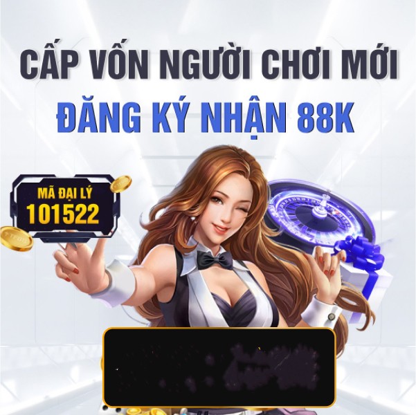 vn333ss