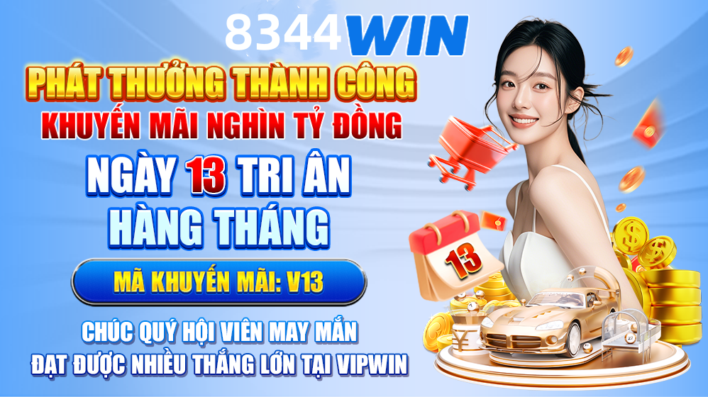 vn333ss