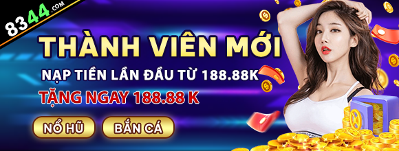 vn333ss