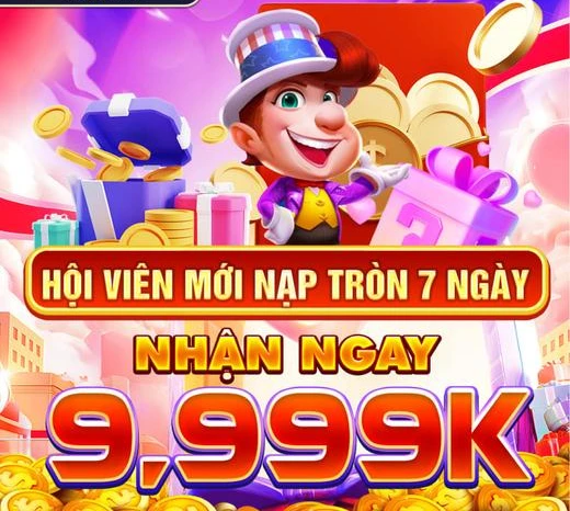 vn333ss
