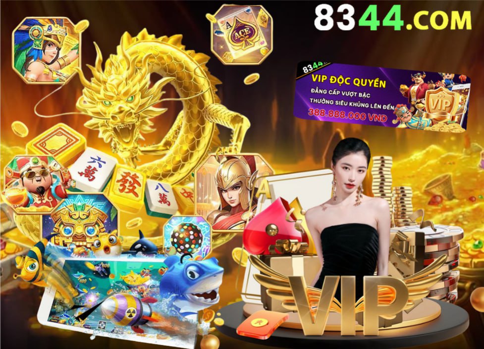 vn333ss