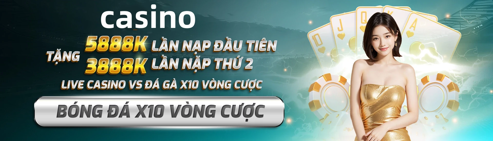 vn333ss