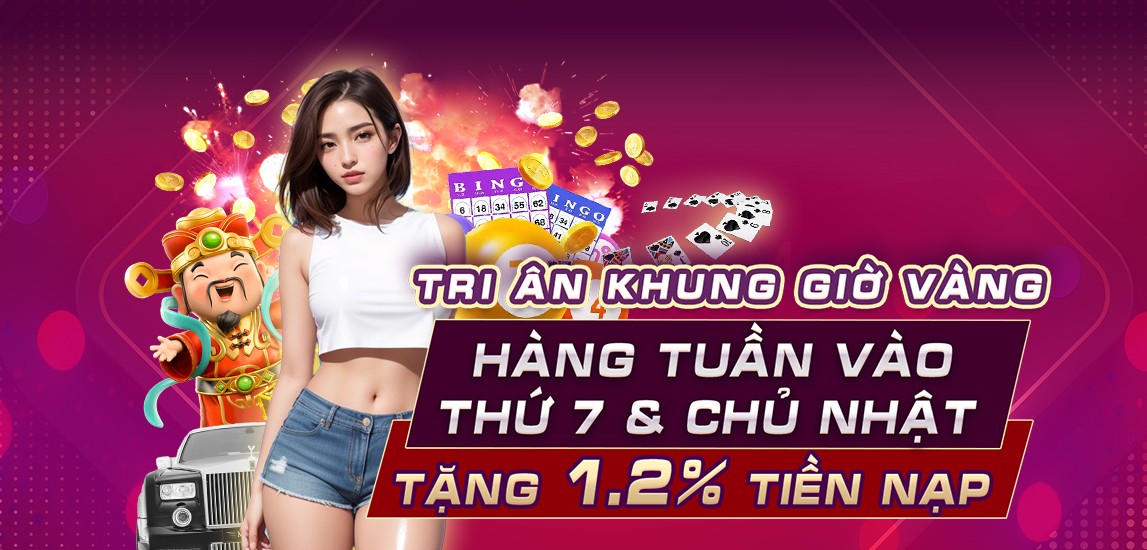 vn333