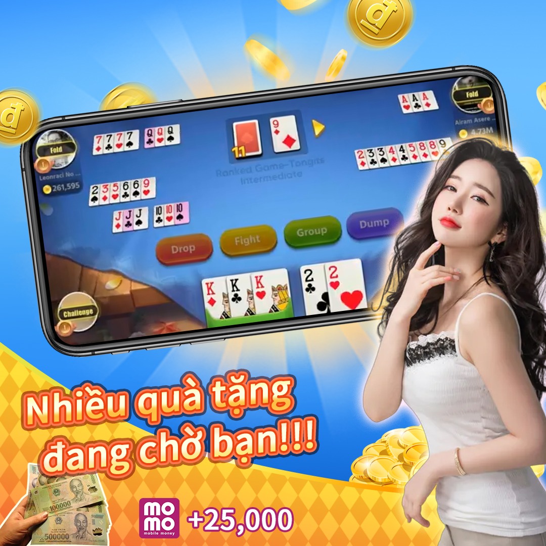 vn333