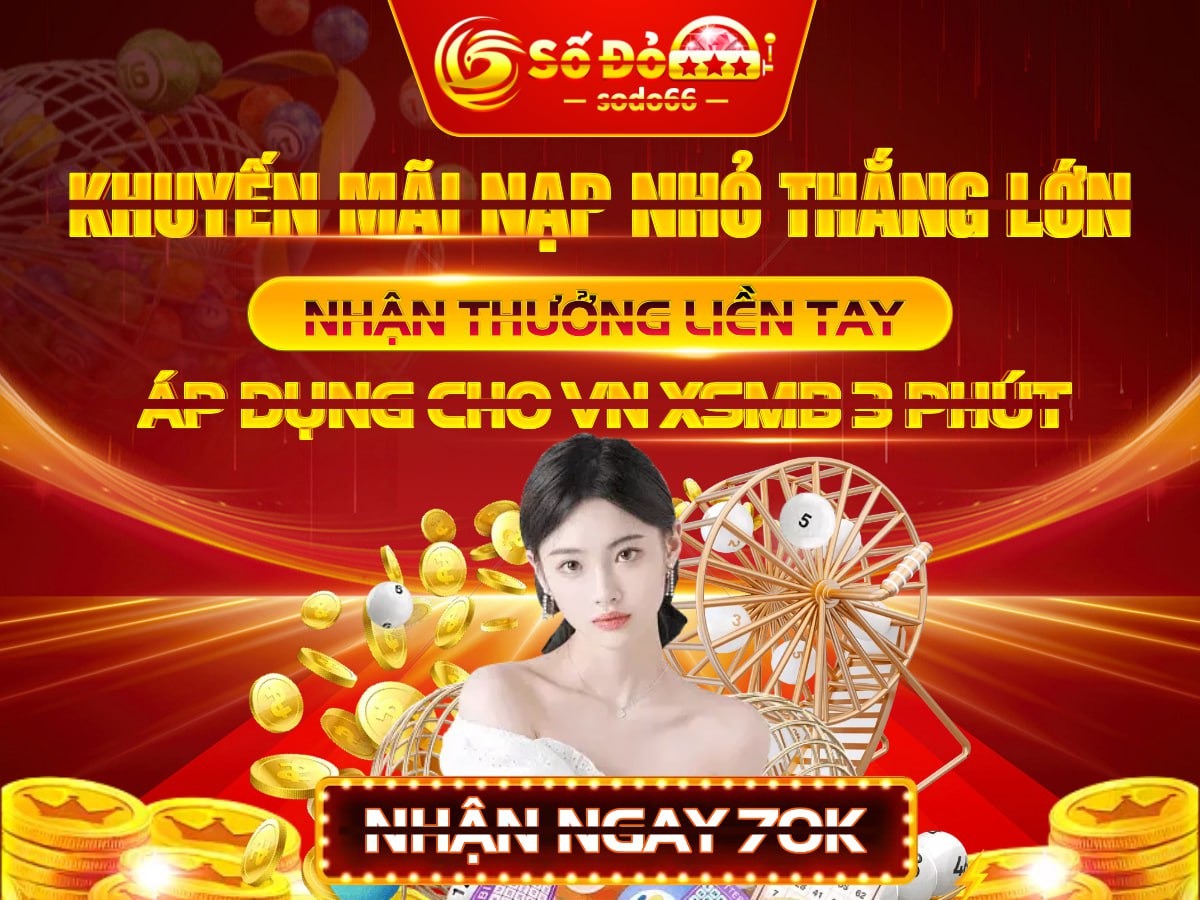 vn333
