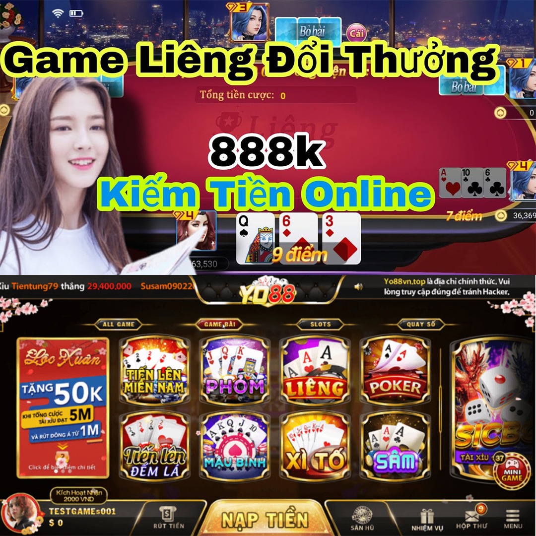 vn333