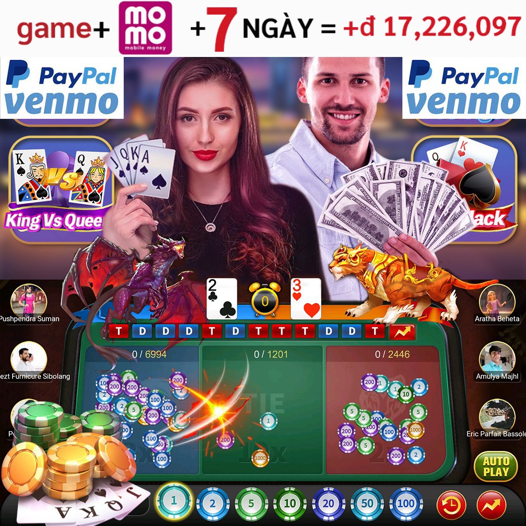 vn333