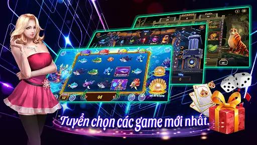 vn333