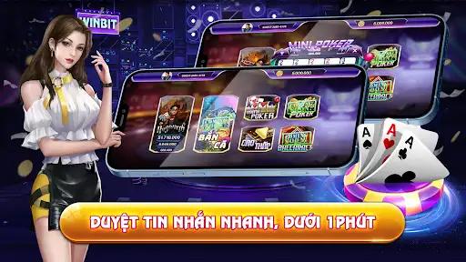 vn333
