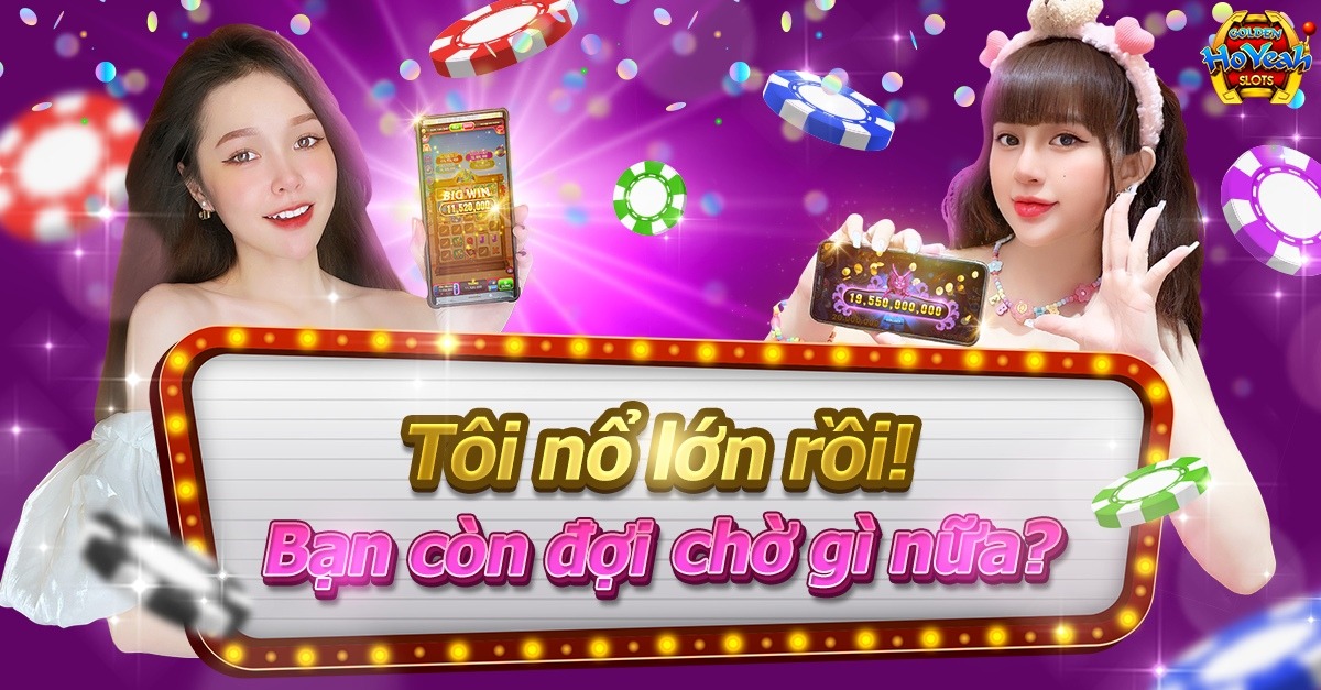 vn333