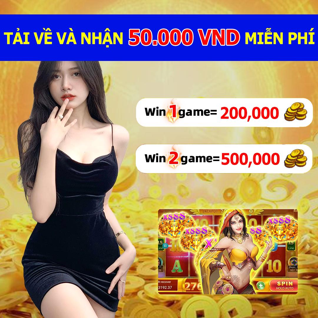 vn333