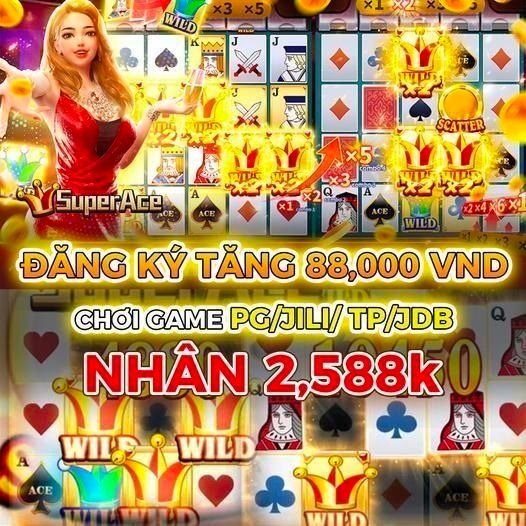 vn333