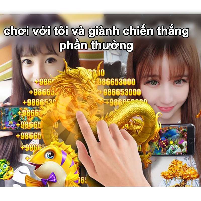 vn333