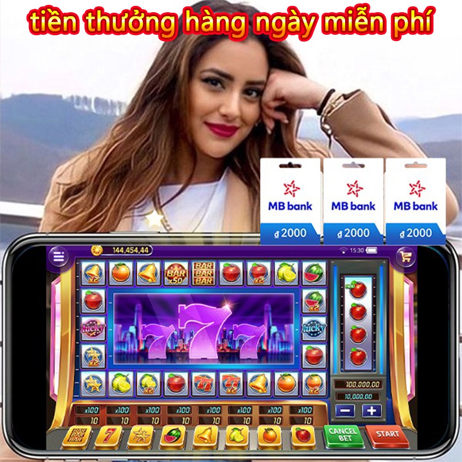 vn333