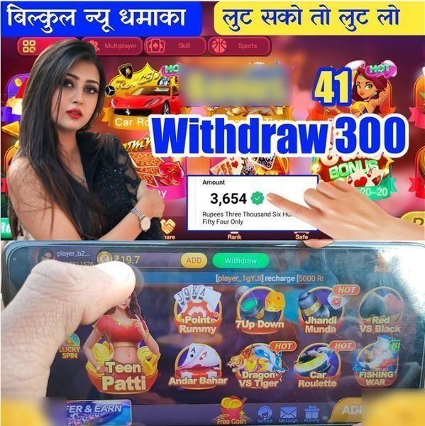 vn333